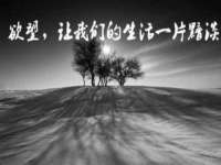 邳州杰之锐商贸有限公司