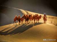 邳州杰之锐商贸有限公司