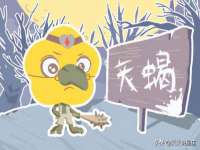 邳州杰之锐商贸有限公司