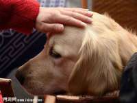 邳州杰之锐商贸有限公司