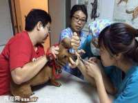 邳州杰之锐商贸有限公司