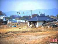 邳州杰之锐商贸有限公司