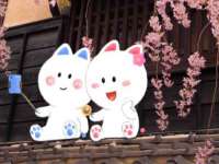邳州杰之锐商贸有限公司