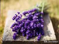 邳州杰之锐商贸有限公司