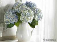 邳州杰之锐商贸有限公司