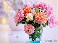 邳州杰之锐商贸有限公司
