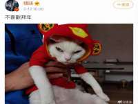 邳州杰之锐商贸有限公司